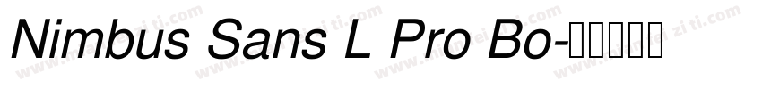 Nimbus Sans L Pro Bo字体转换